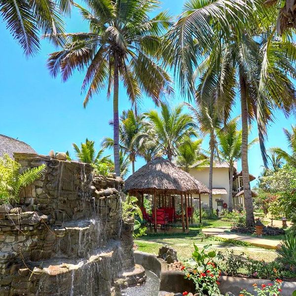 Vanila – 2026-01-05 - Zdjęcie 3