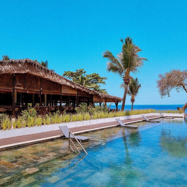 Vanila – 2026-04-26 - Zdjęcie 2