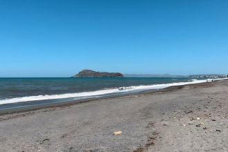 Venus Beach Gerani