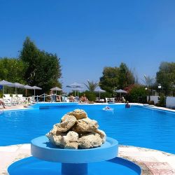 Venus Beach Gerani