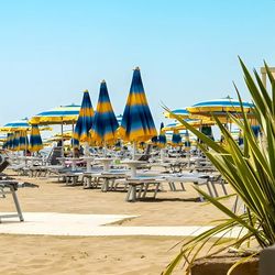 Vidi Miramare Delfino Lido di Jesolo