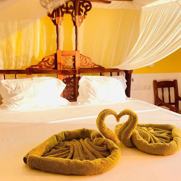 Villa Vanilla – 2026-05-05 - Zdjęcie 3