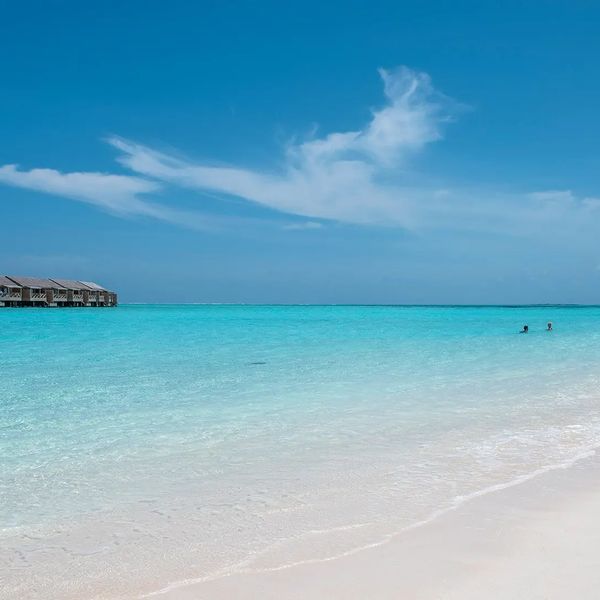 You Me by Cocoon Maldives – 2026-09-17 - Zdjęcie 3