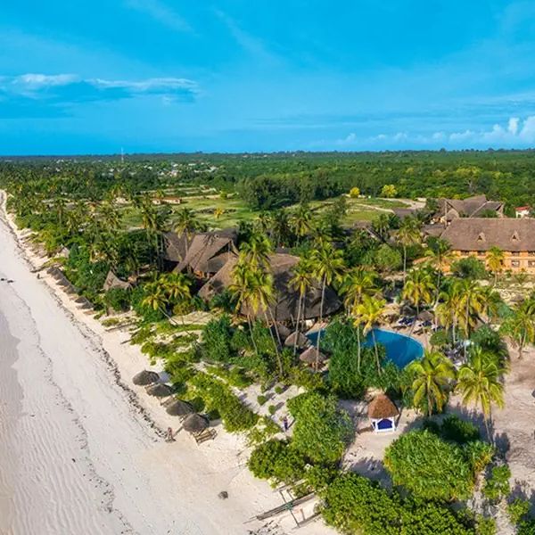 Zanzibar Queen — Kigomani, Tanzania