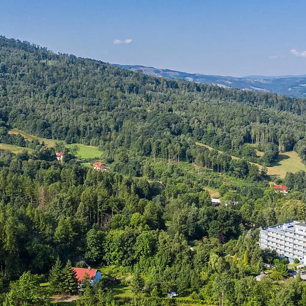 Ziemowit (Jarnoltowek)