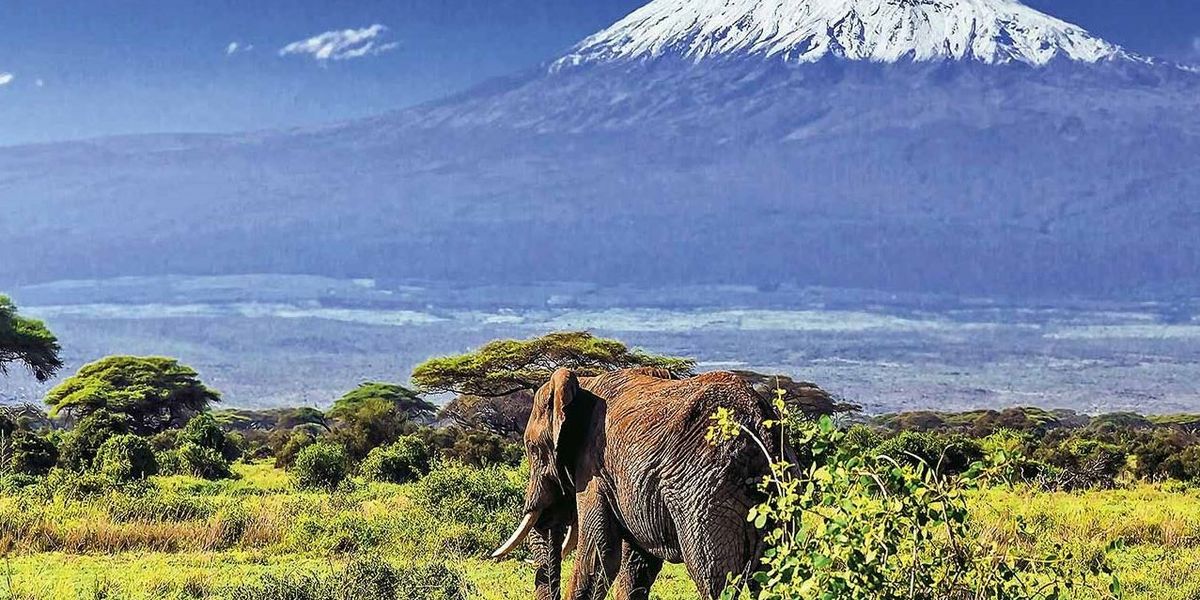 Kenia Last Minute na 7 dni w sierpniu: 3⋆ hotel od 7 475 zł (aktualizacja ceny)